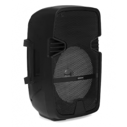 Altavoz PZX ND-6008